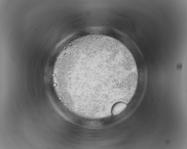 X0000113170165200910161316