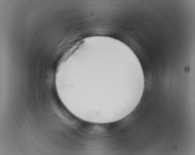 X0000113170166200910161316