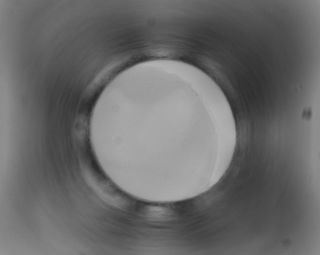 X0000113170167200910161316