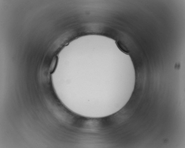 X0000113170168200910161316