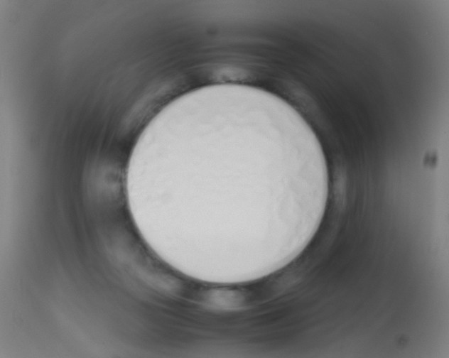 X0000113170169200910161316