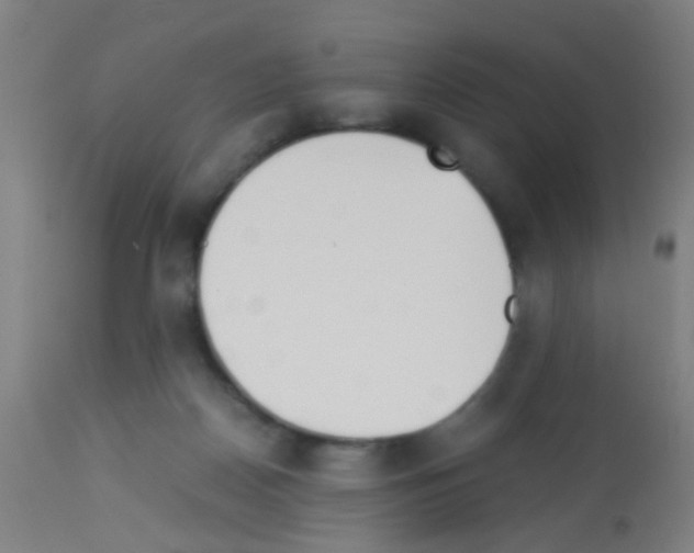X0000113170170200910161316