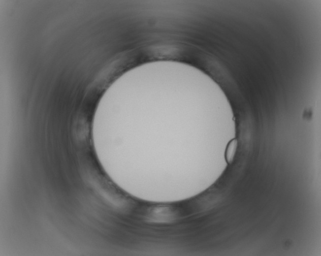 X0000113170173200910161316