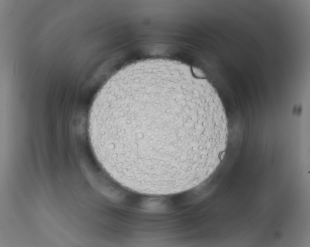 X0000113170175200910161316