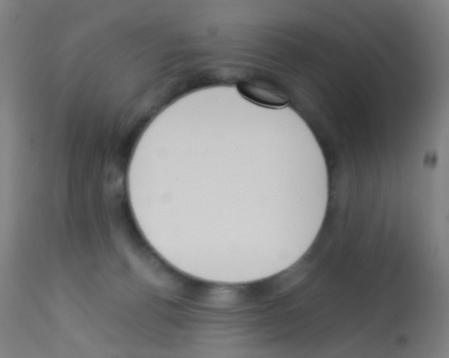 X0000113170176200910161316