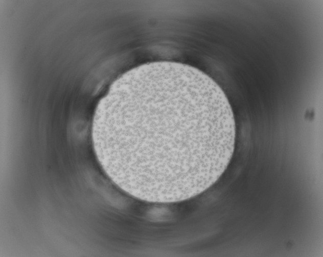 X0000113170177200910161316