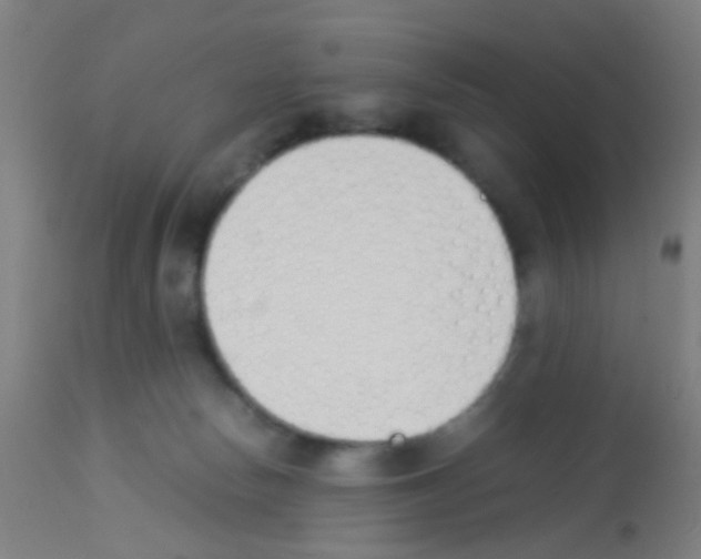 X0000113170178200910161316