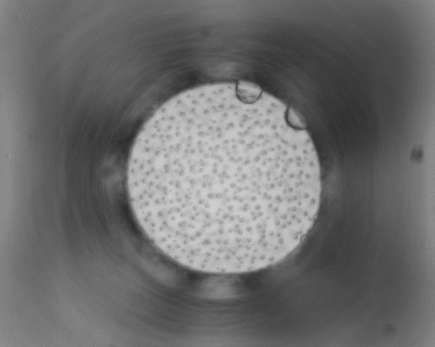 X0000113170179200910161316