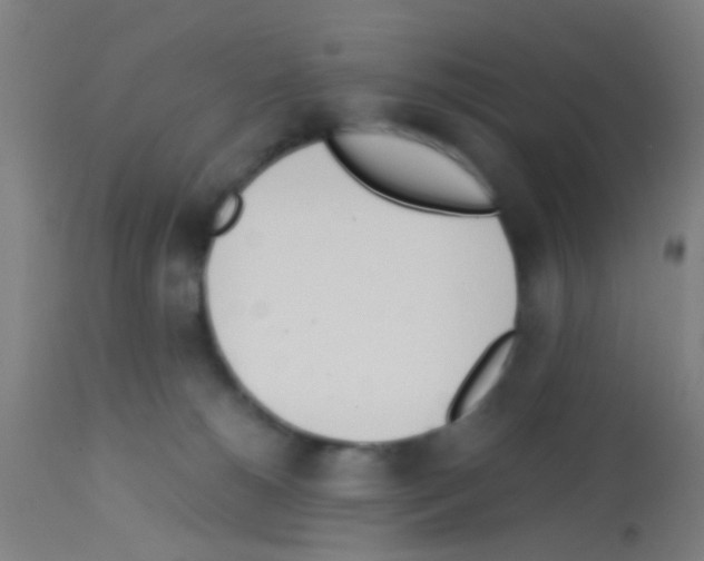 X0000113170180200910161316