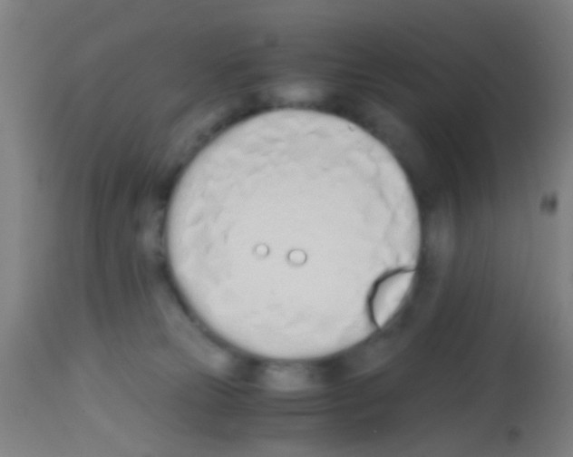 X0000113170181200910161316