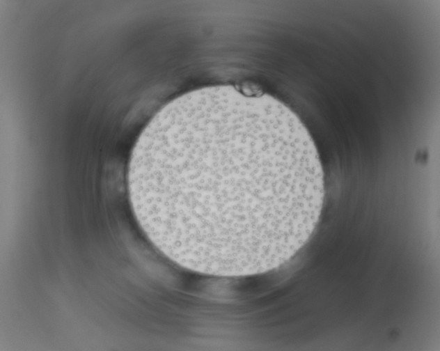 X0000113170182200910161316