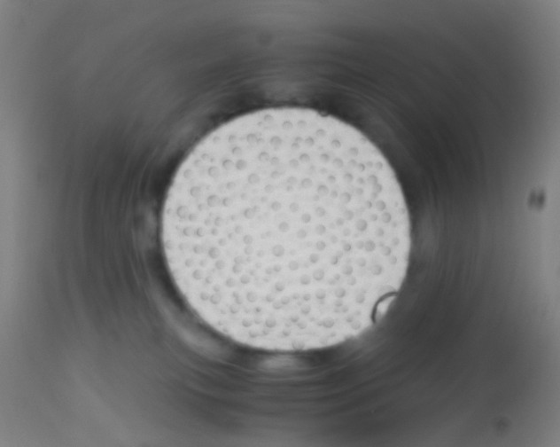 X0000113170183200910161316