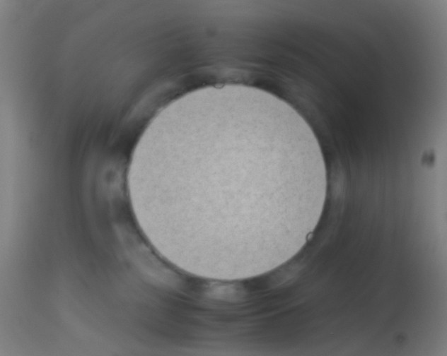 X0000113170185200910161316