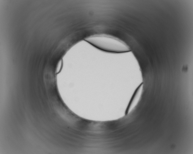 X0000113170186200910161316