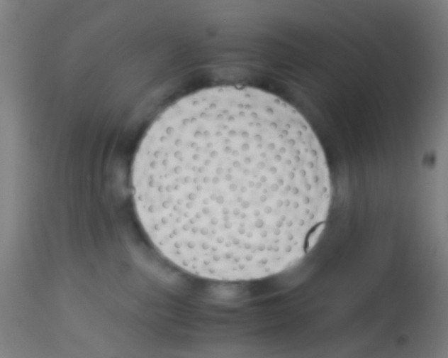 X0000113170187200910161316
