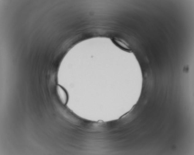 X0000113170188200910161316