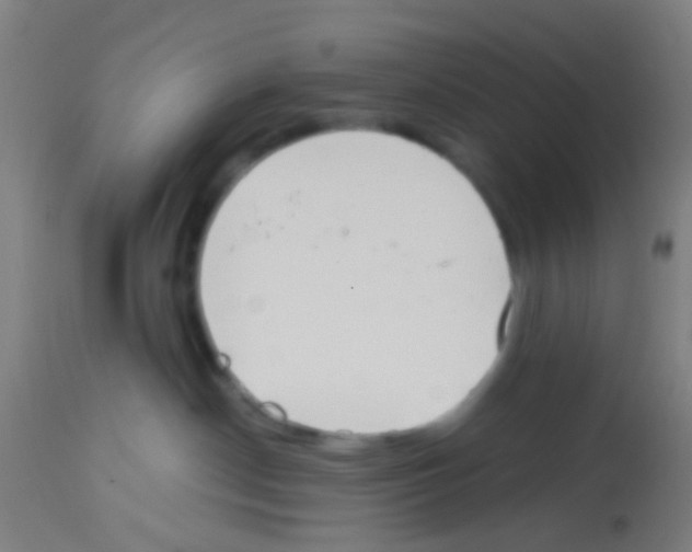 X0000113170190200910161317