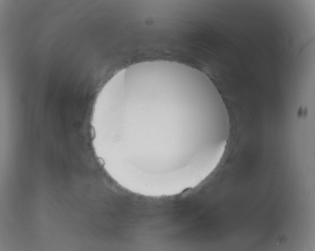 X0000113170192200910161317