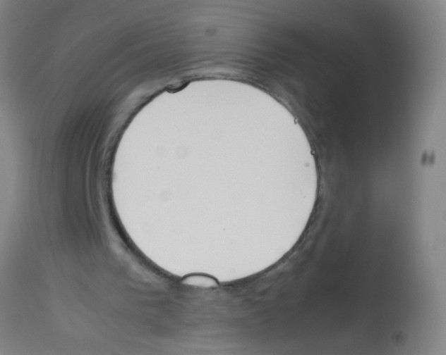 X0000113170193200910161316