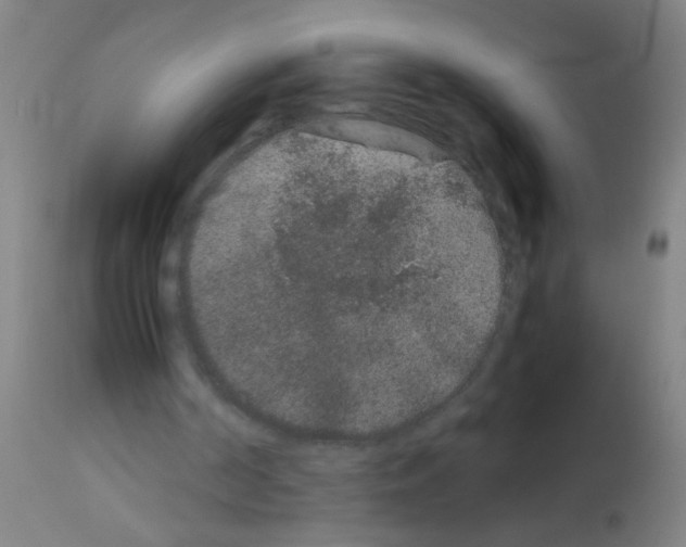 X0000113170194200910161316
