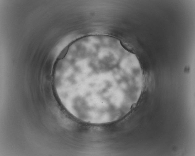 X0000113170195200910161316