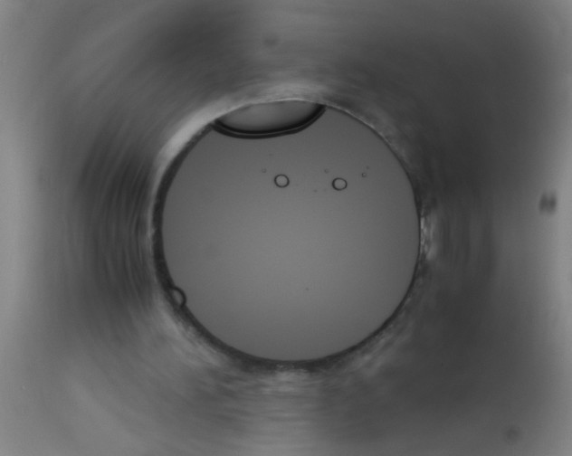 X0000113170196200910161316