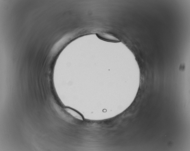 X0000113170197200910161316