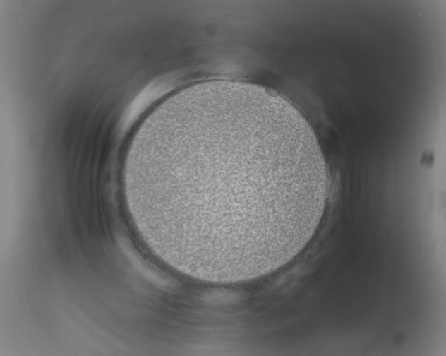 X0000113170198200910161316