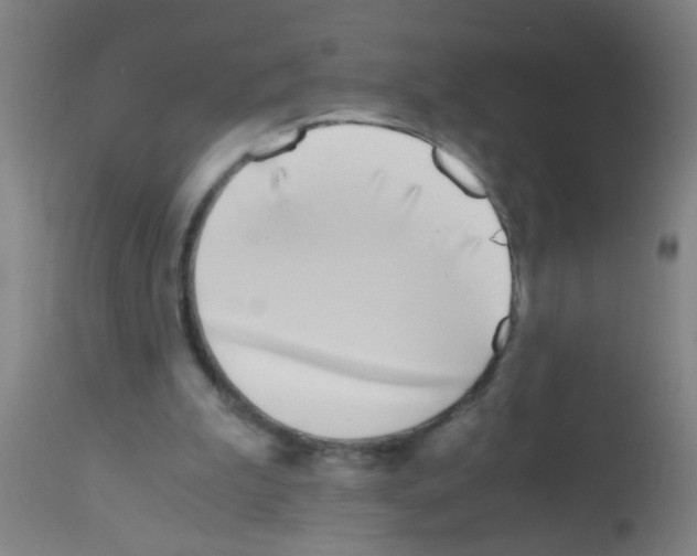 X0000113170199200910161316