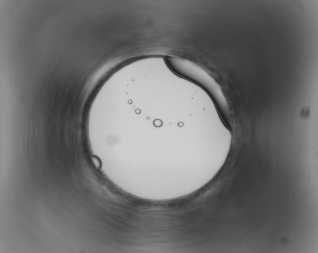 X0000113170200200910161316