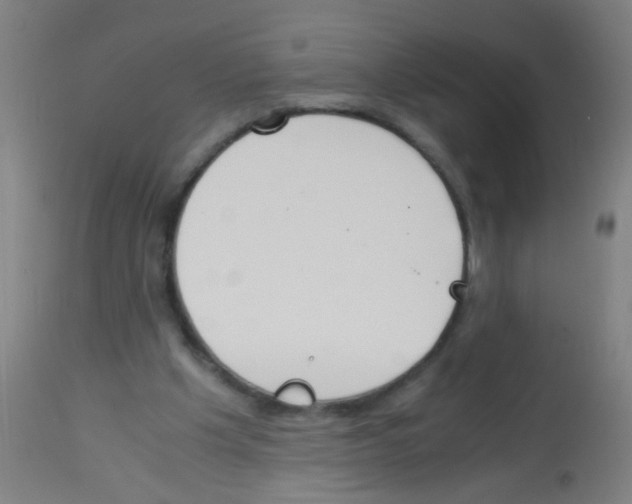 X0000113170201200910161316