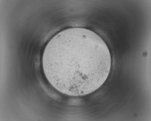 X0000113170202200910161316