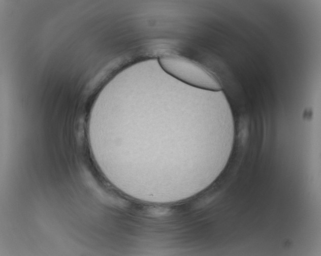 X0000113170206200910161316