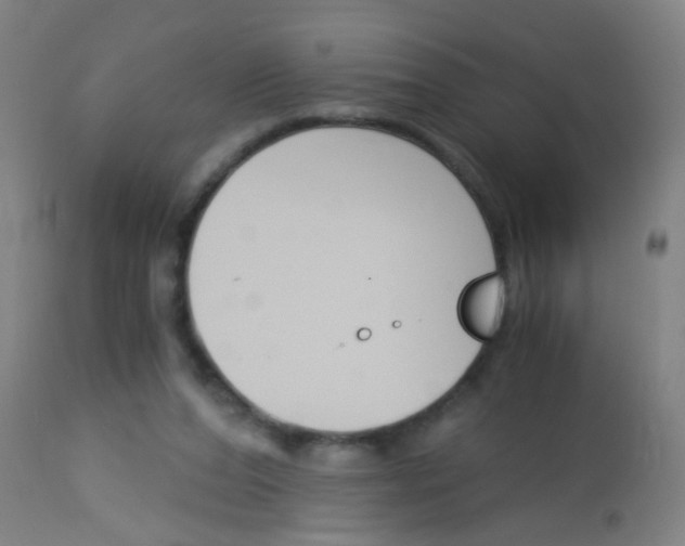 X0000113170208200910161316