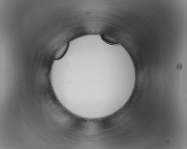 X0000113170209200910161316