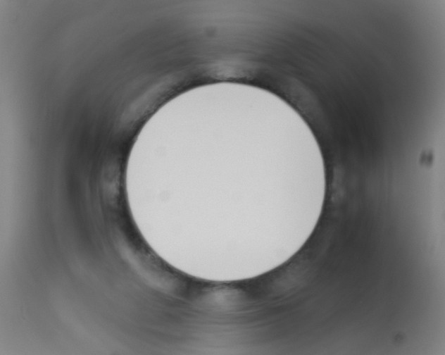 X0000113170210200910161316
