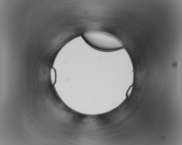 X0000113170211200910161316