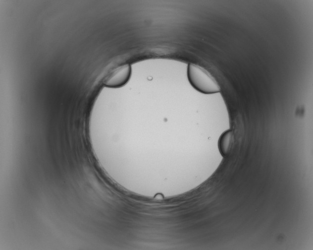 X0000113170212200910161316