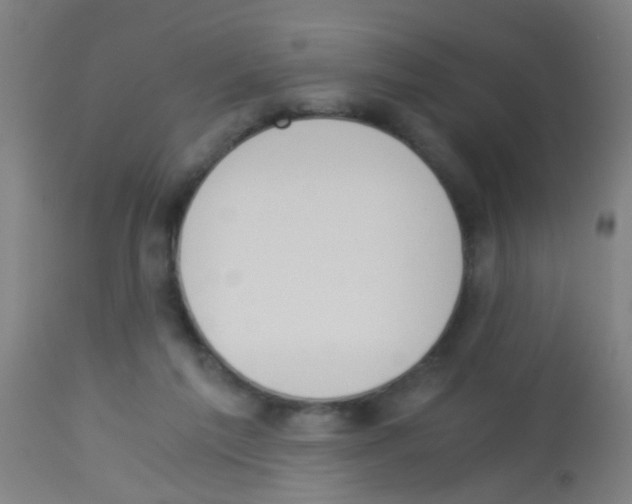 X0000113170213200910161316