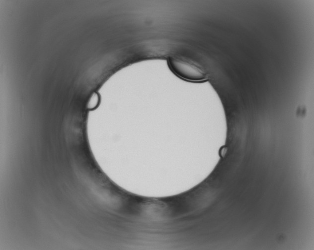 X0000113170215200910161316