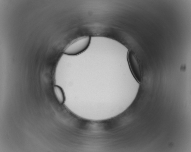 X0000113170221200910161315