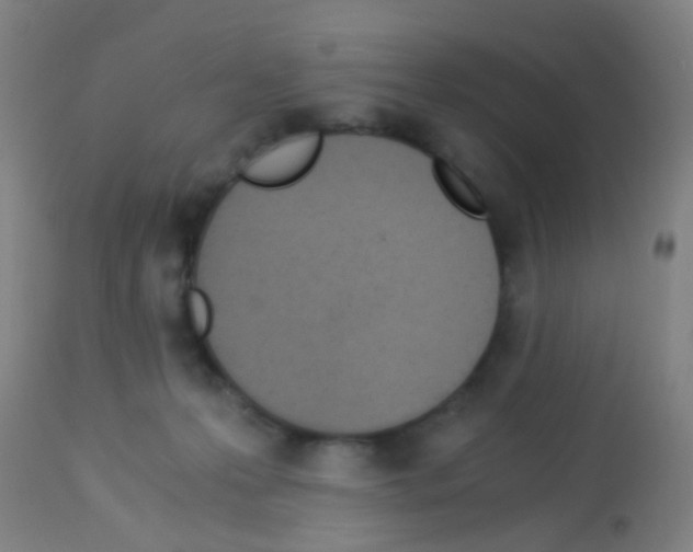 X0000113170223200910161315