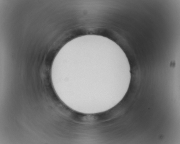 X0000113170225200910161315