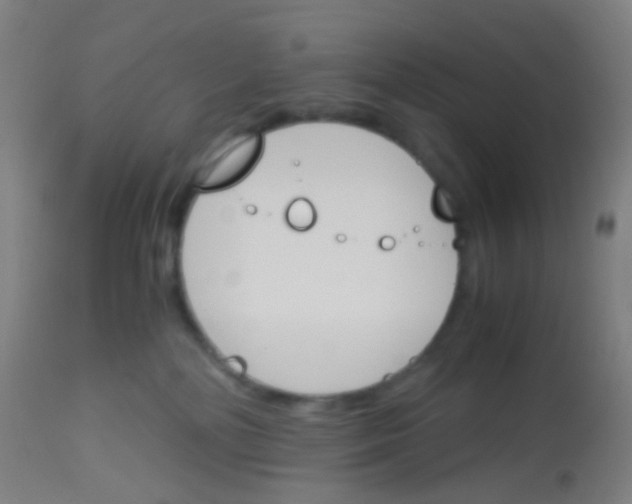 X0000113170232200910161315