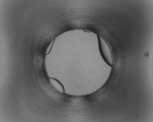 X0000113170235200910161315