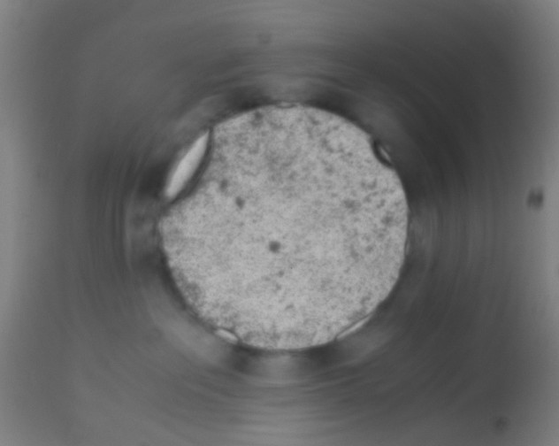 X0000113170237200910161315