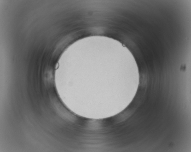X0000113170238200910161315