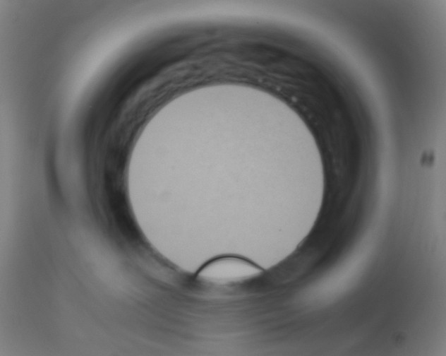 X0000113170239200910161315