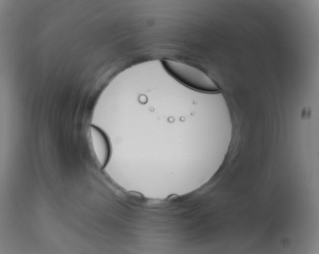 X0000113170240200910161315