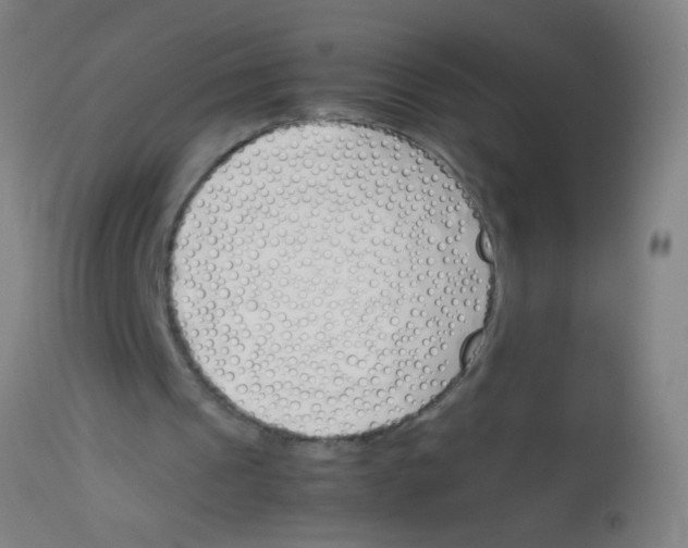 X0000113170241200910161314